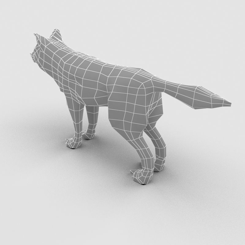 Wolf Model 3D model_8