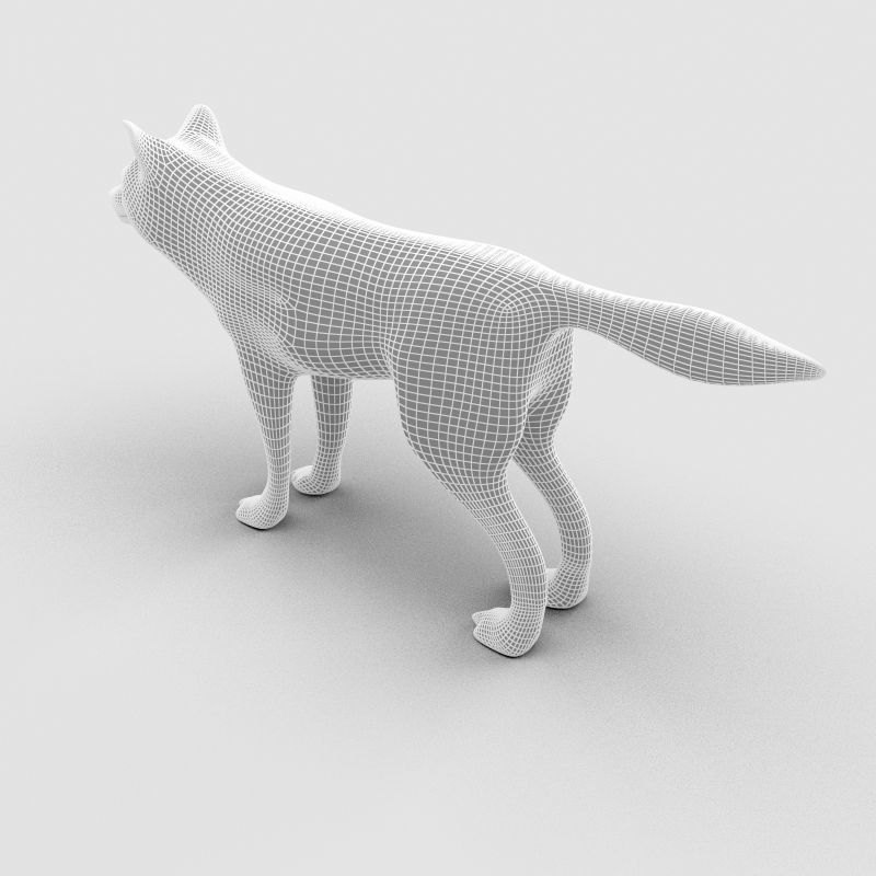 Wolf Model 3D model_9