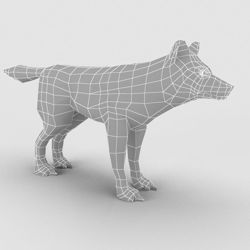 Wolf Model 3D model_7