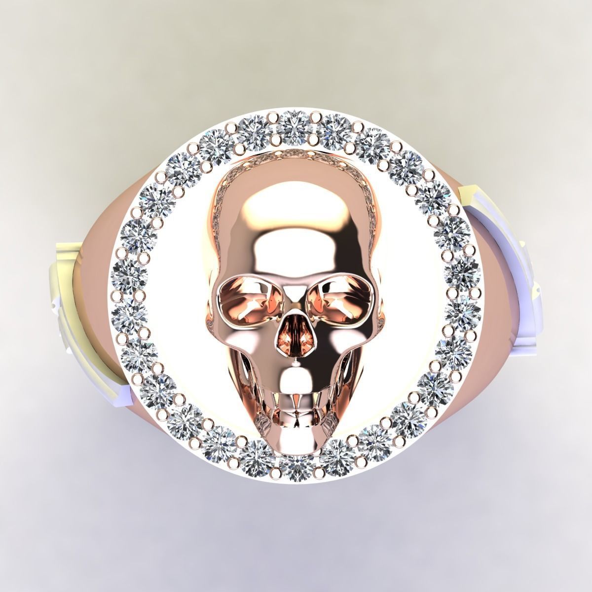 RING 245 3D print model_8