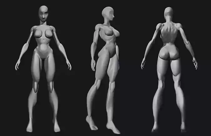 female base mesh