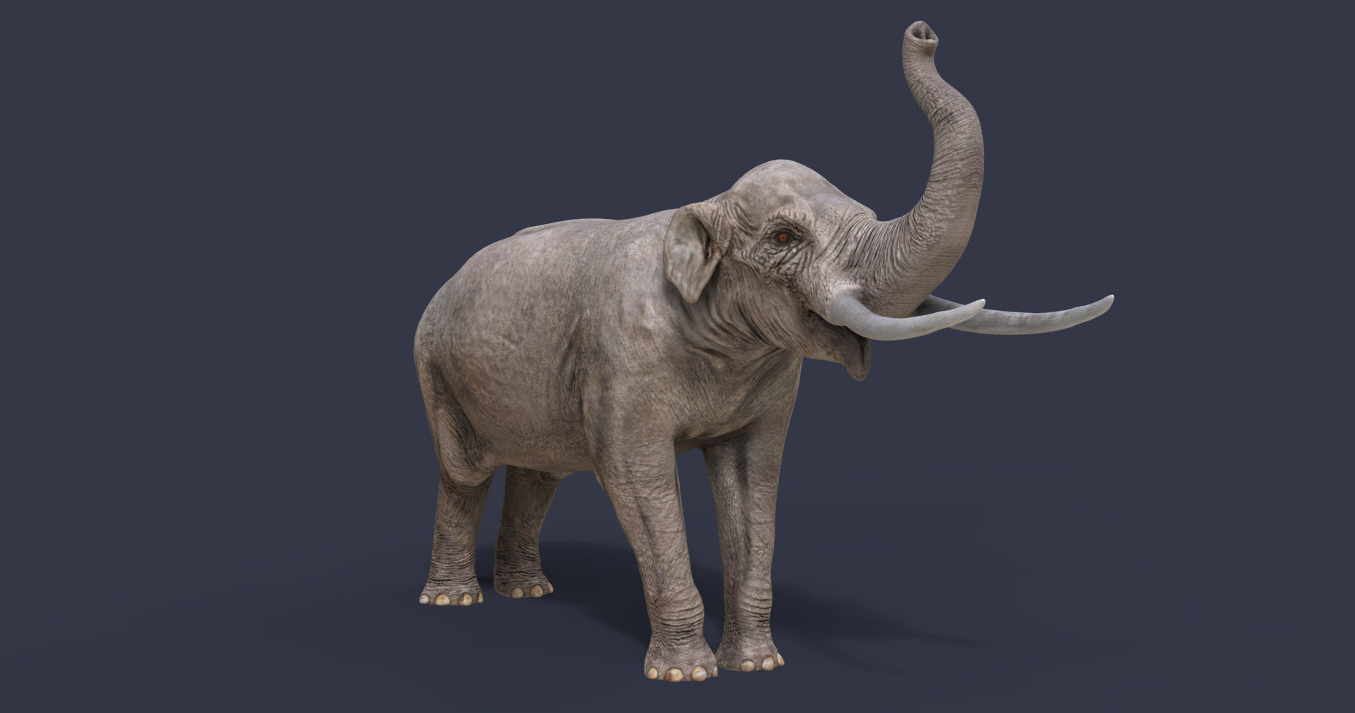 Extinct animals pack version 12 3D model_6