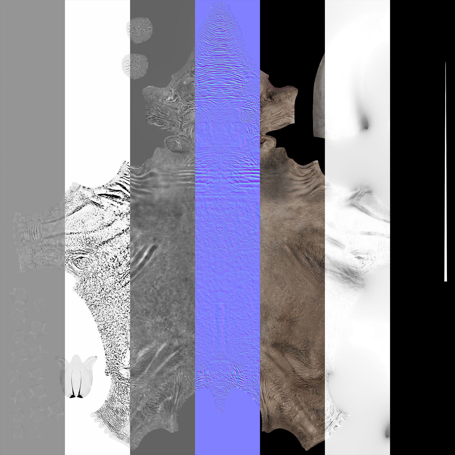 Extinct animals pack version 12 3D model_9