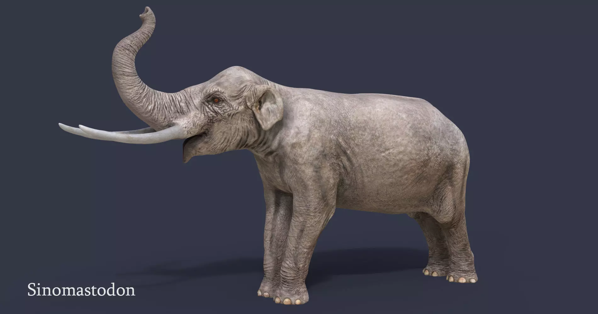 Extinct animals pack version 12 3D model_0