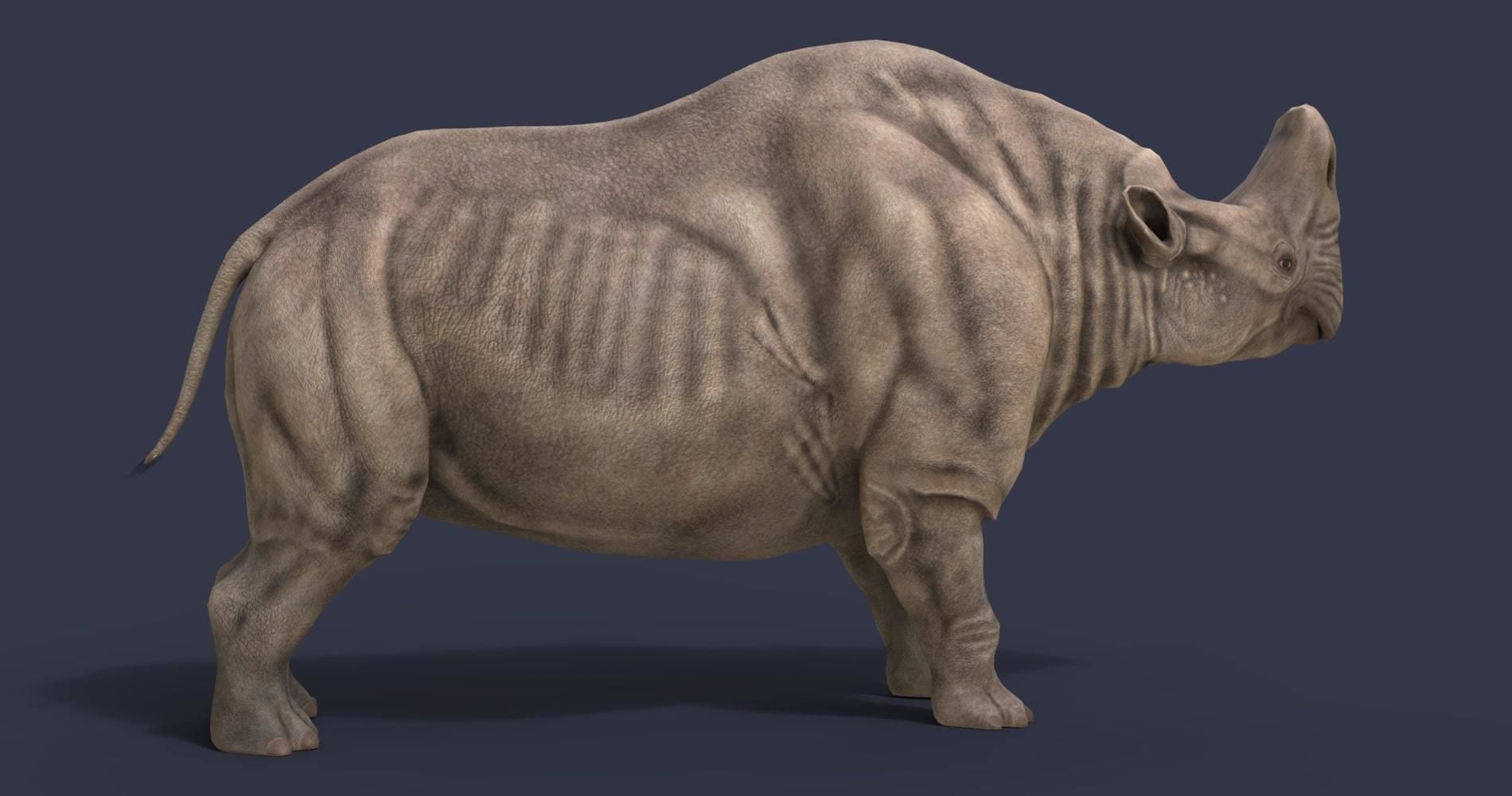 Extinct animals pack version 12 3D model_18