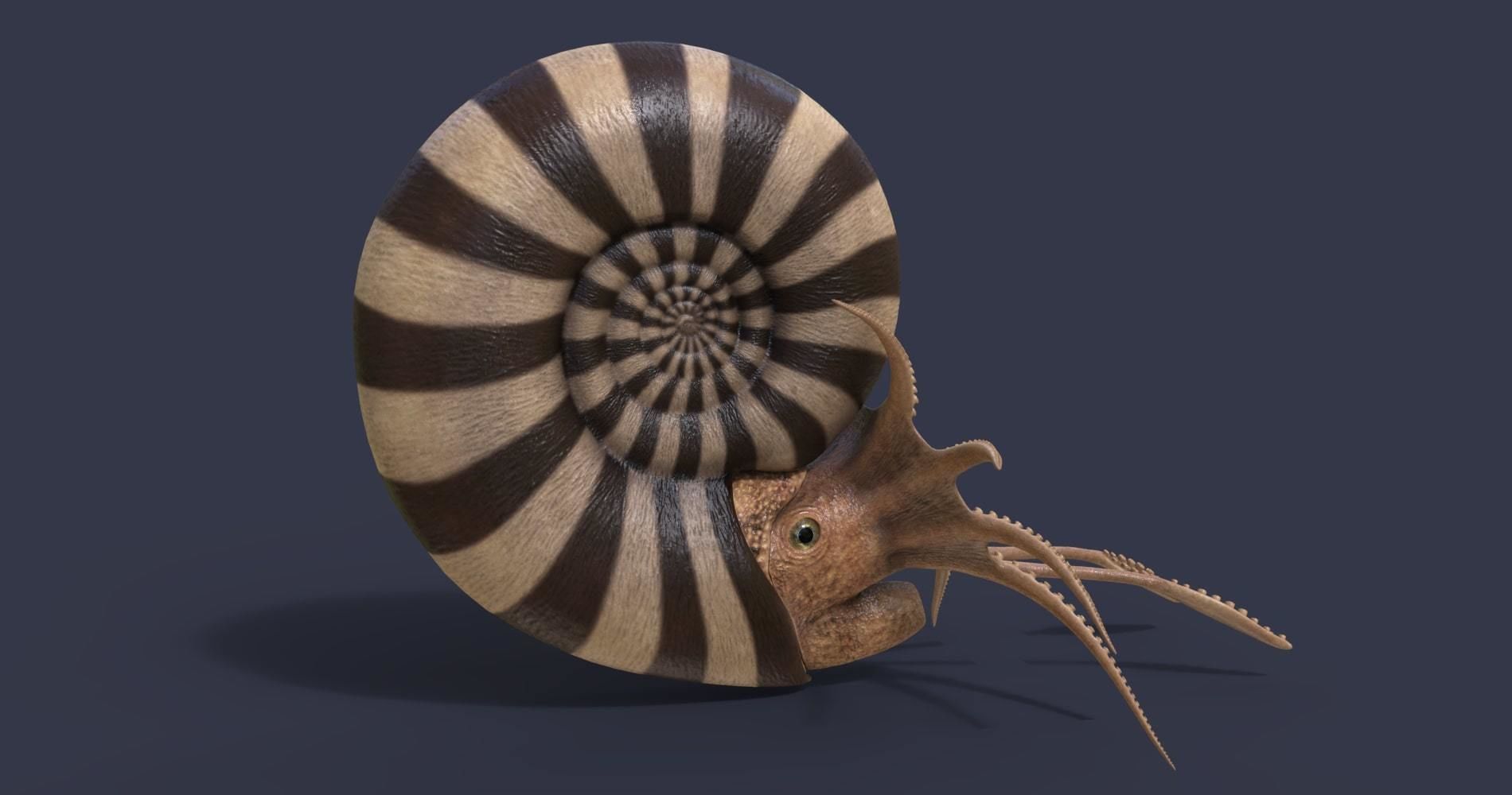 Extinct animals pack version 12 3D model_13