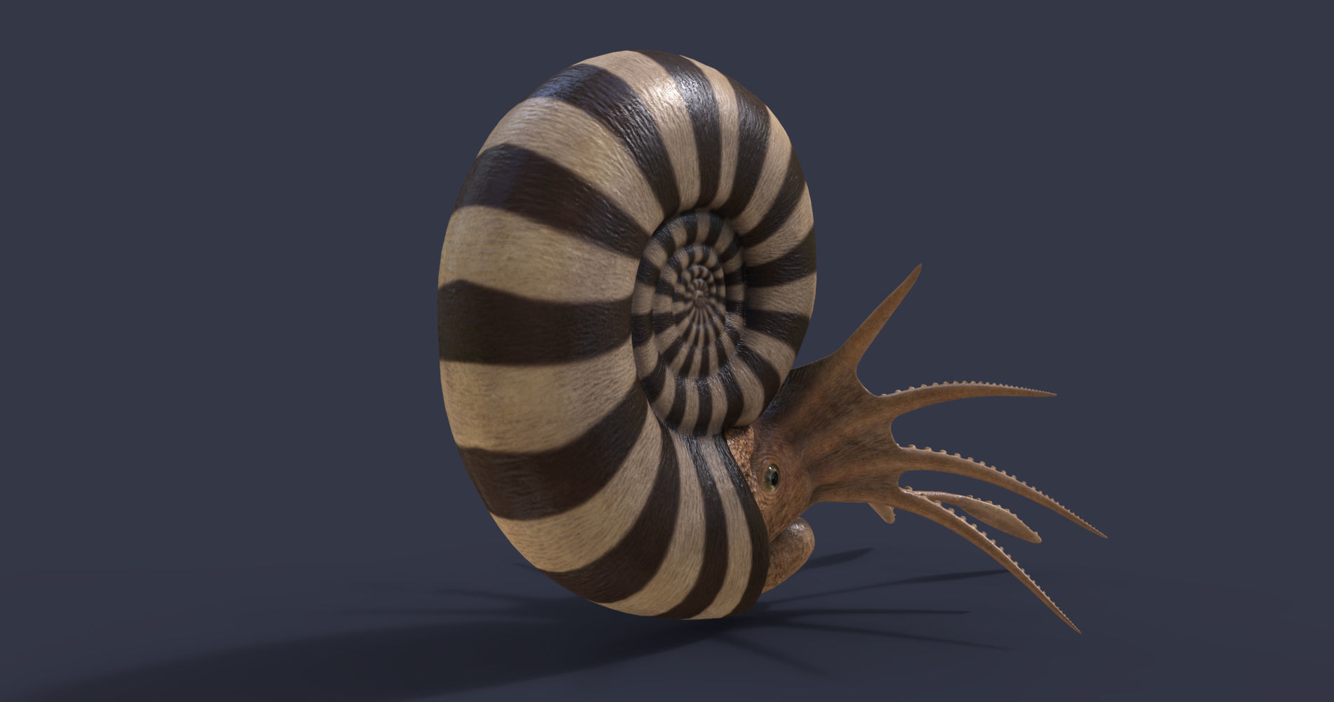 Extinct animals pack version 12 3D model_12