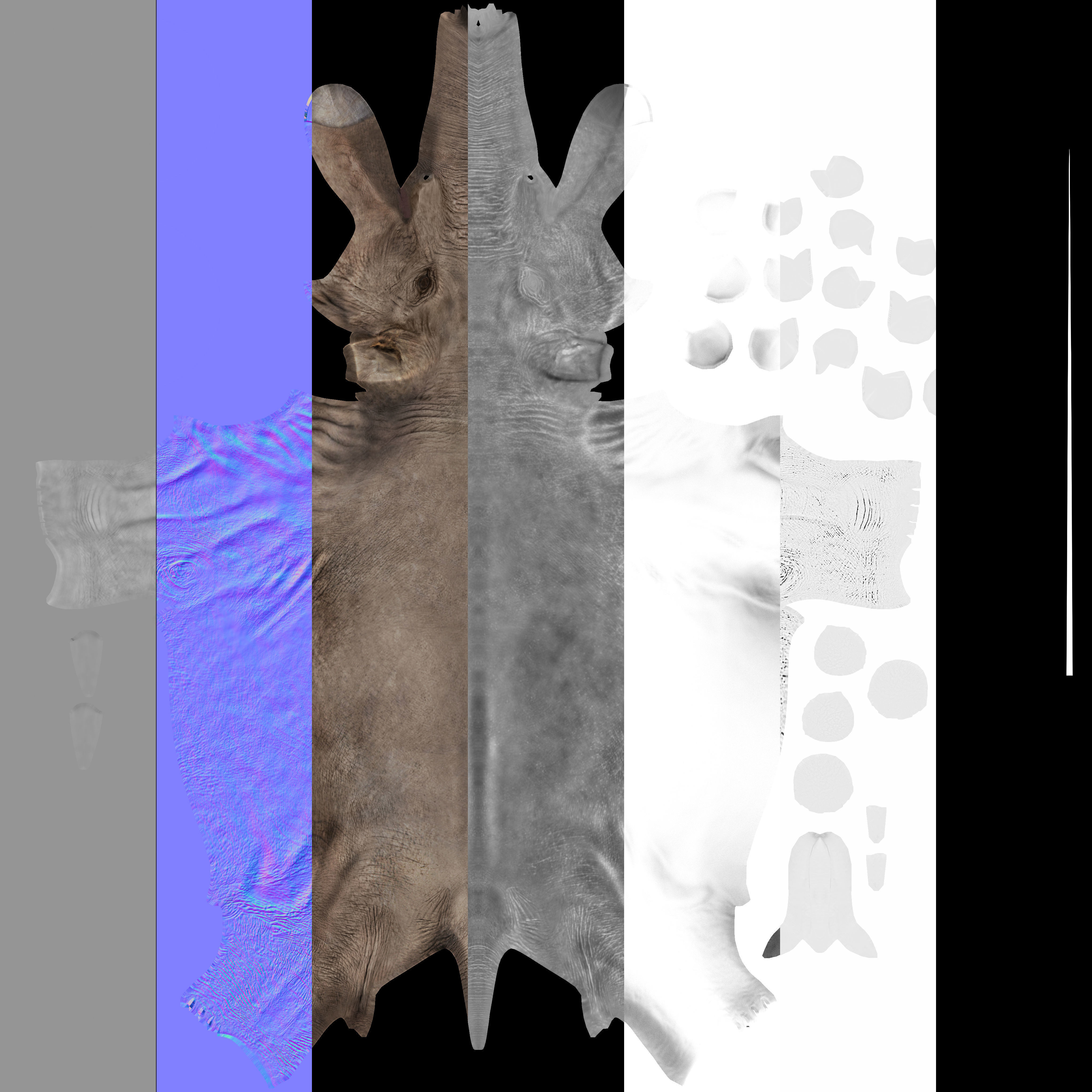 Extinct animals pack version 12 3D model_24