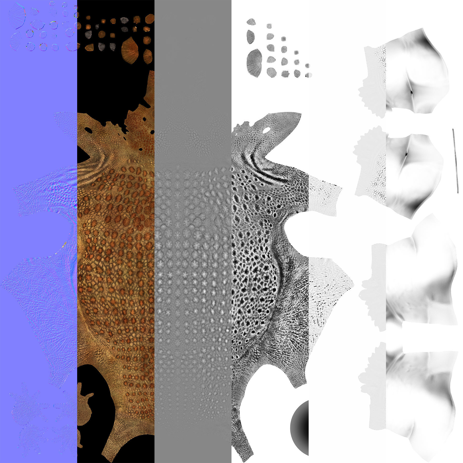 Extinct animals pack version 12 3D model_143