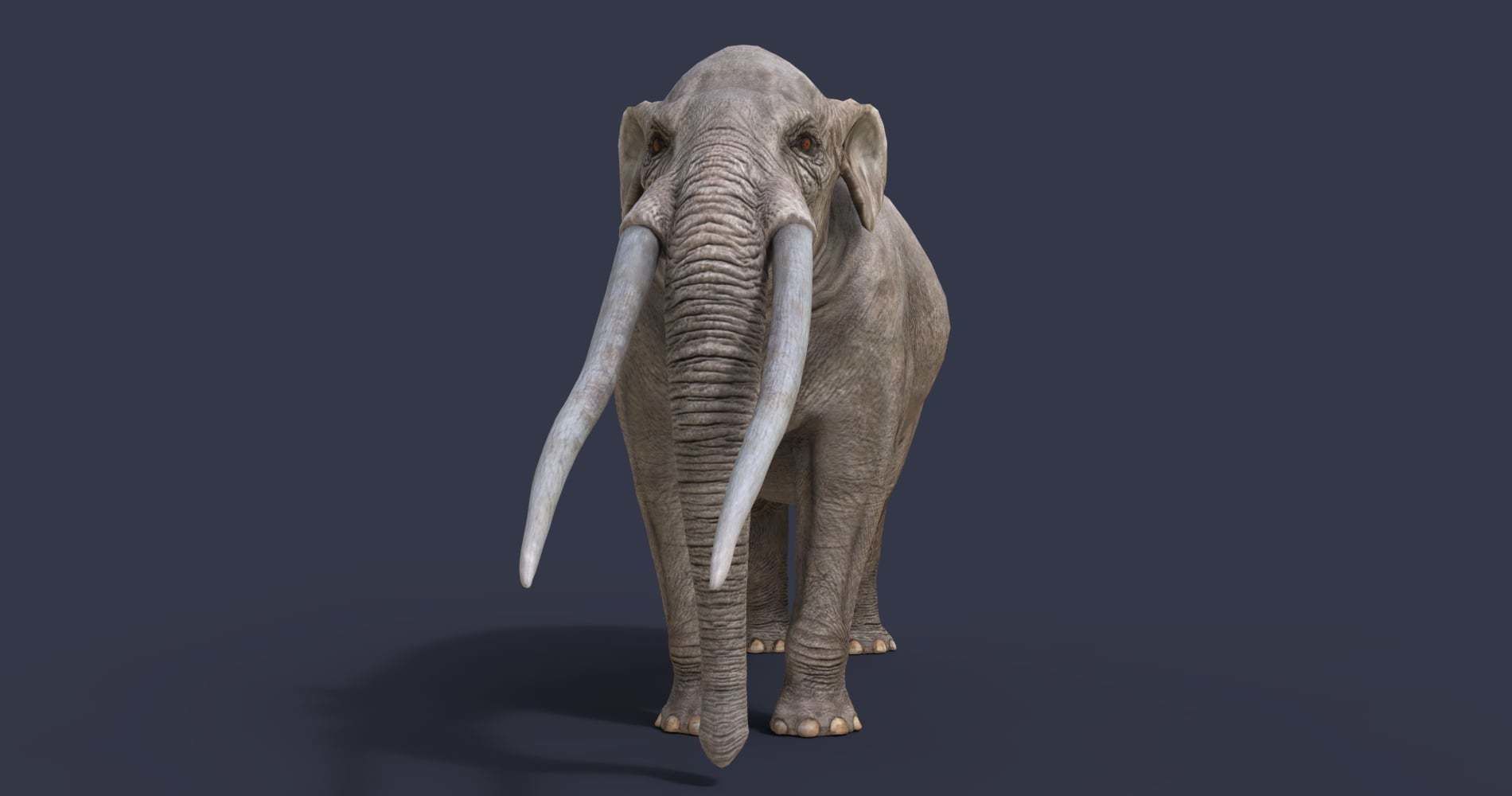 Extinct animals pack version 12 3D model_27
