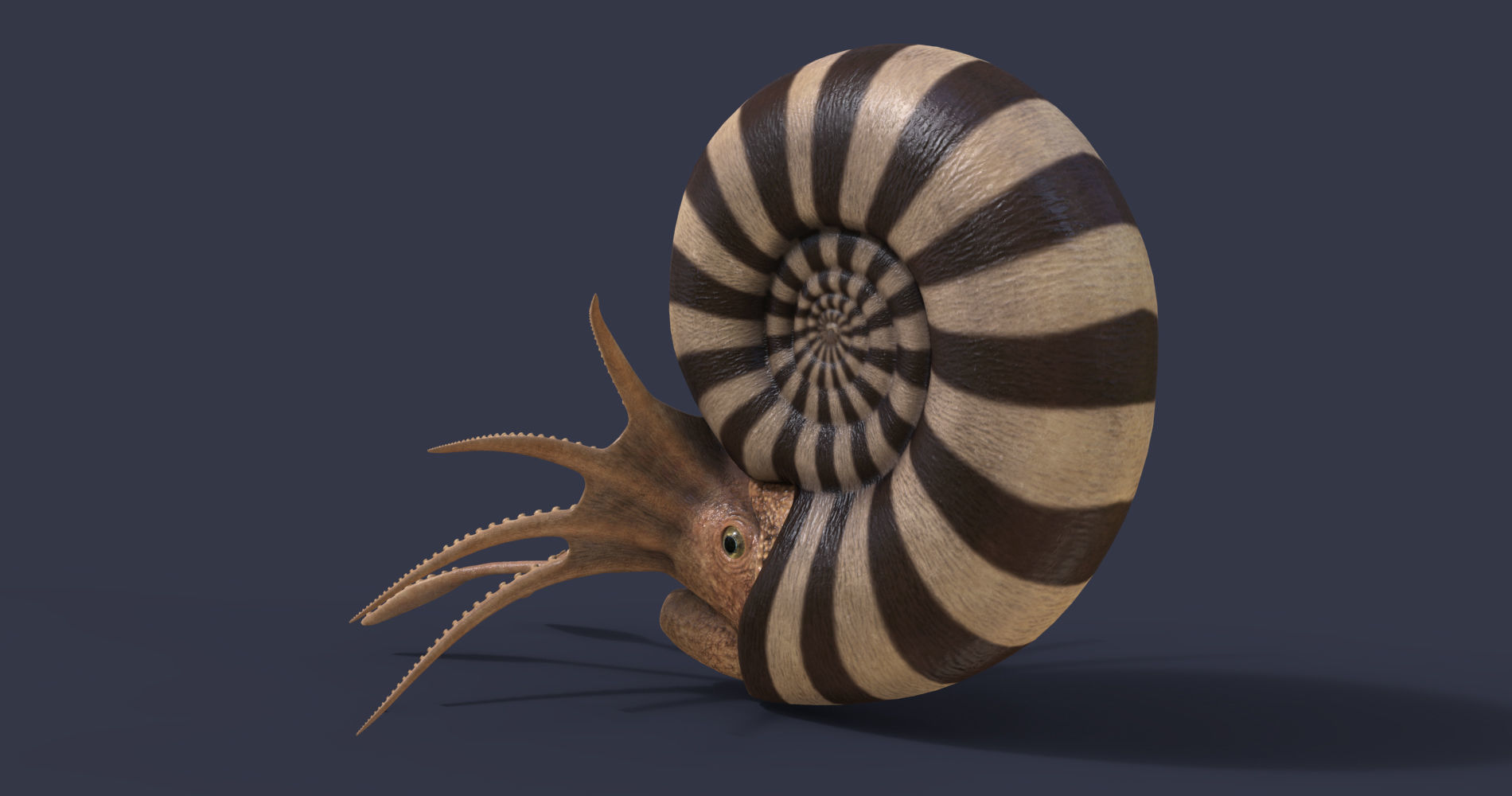 Extinct animals pack version 12 3D model_11