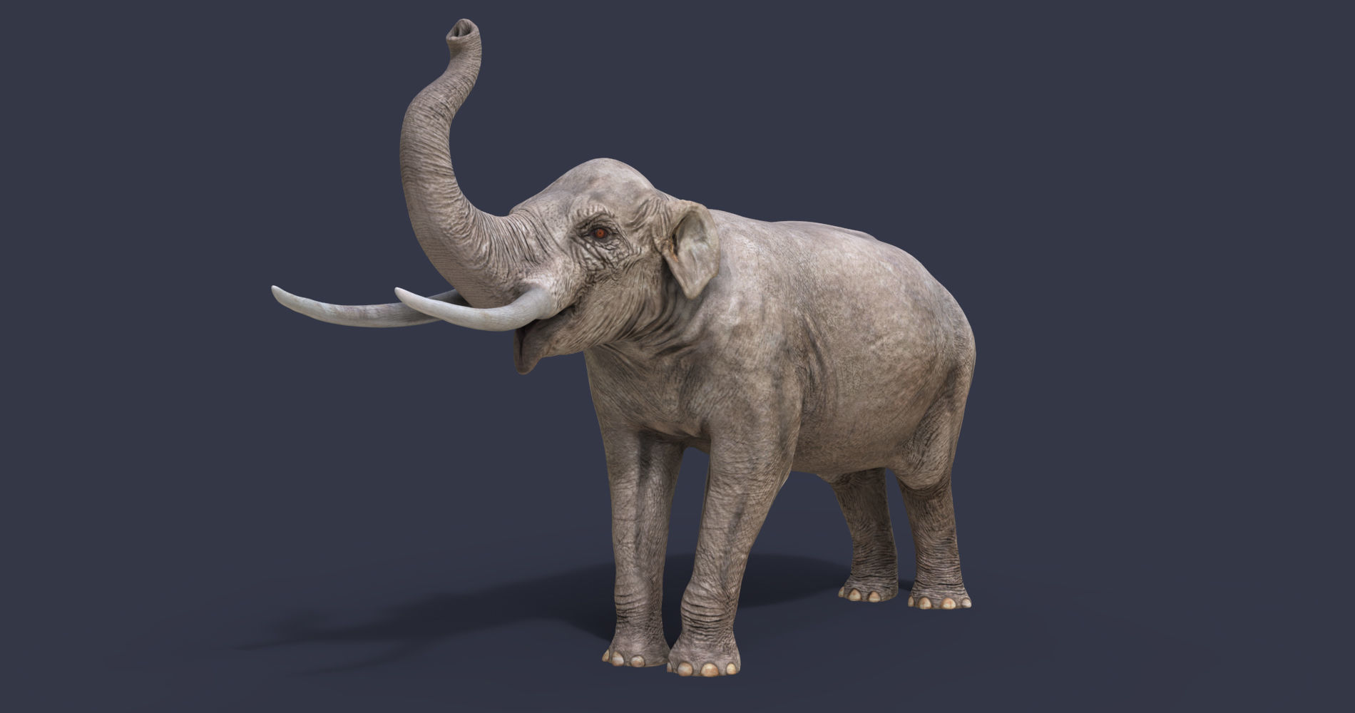 Extinct animals pack version 12 3D model_5