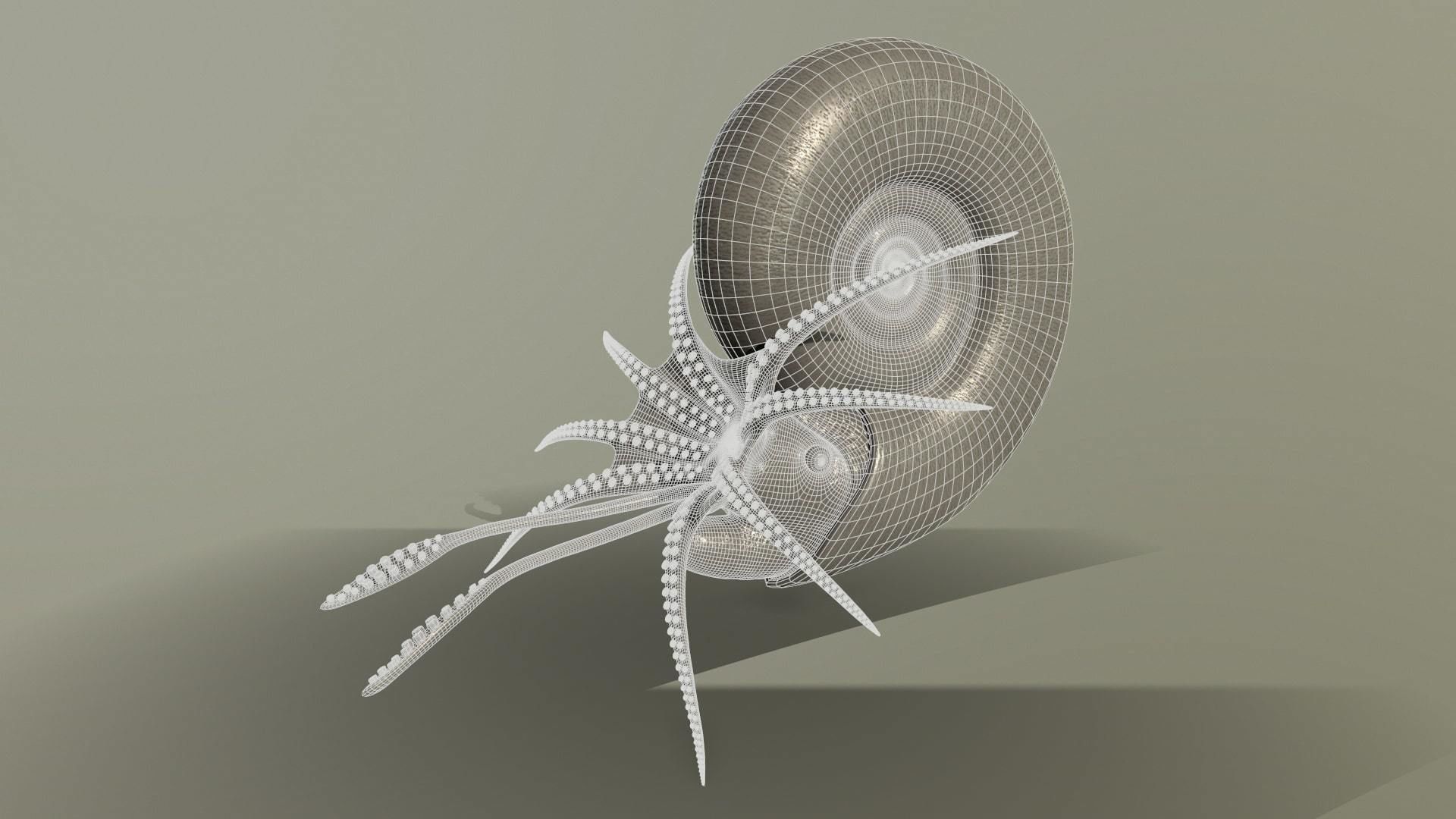 Extinct animals pack version 12 3D model_14