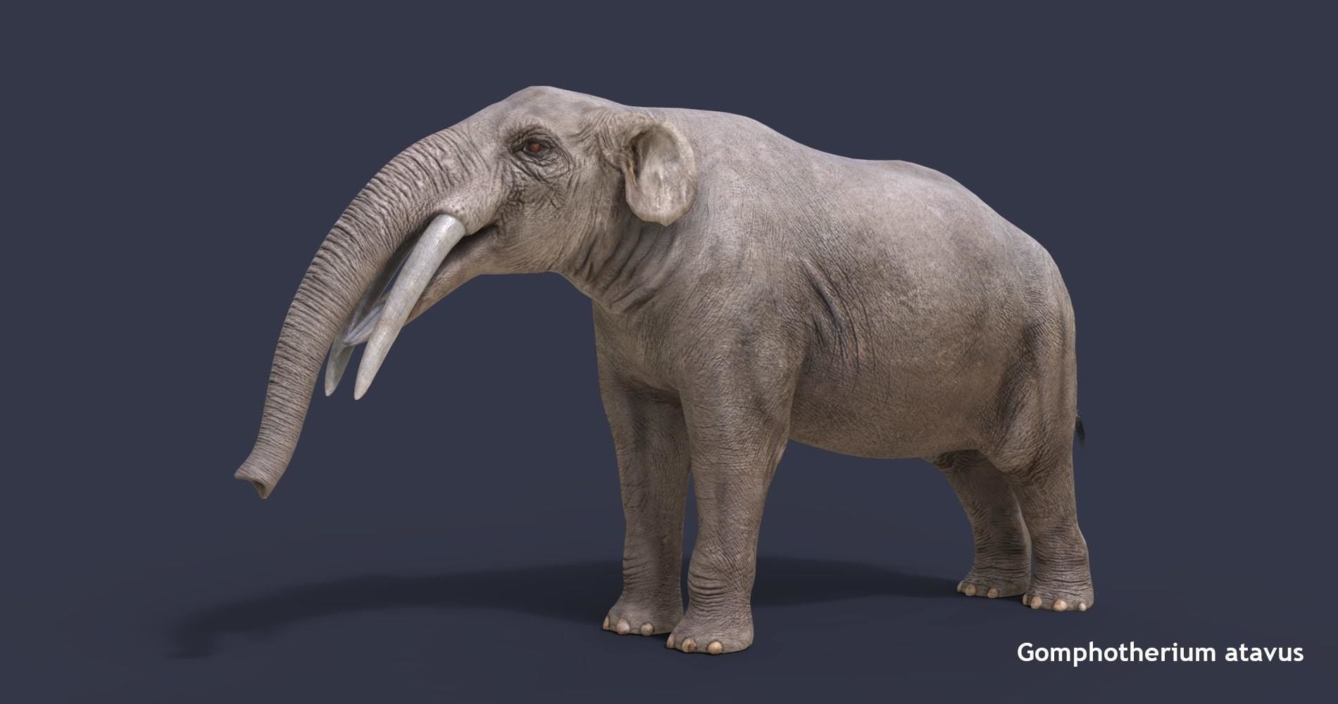Extinct animals pack version 12 3D model_36
