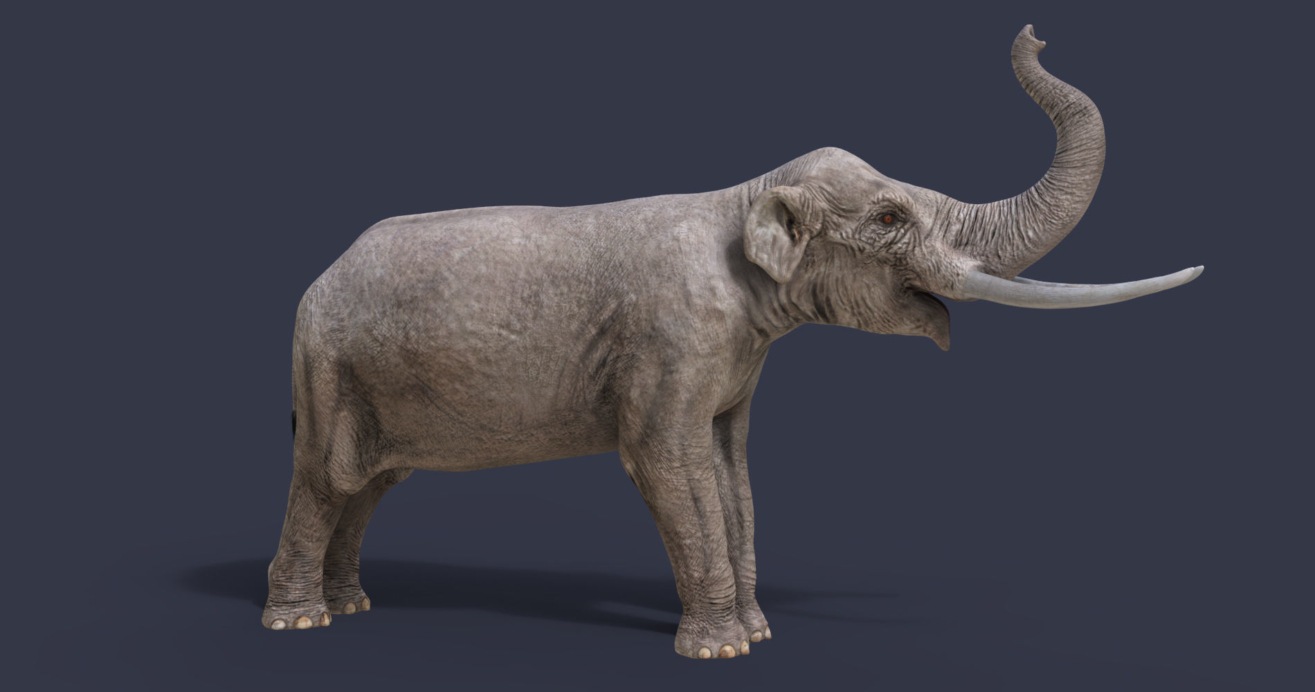 Extinct animals pack version 12 3D model_7