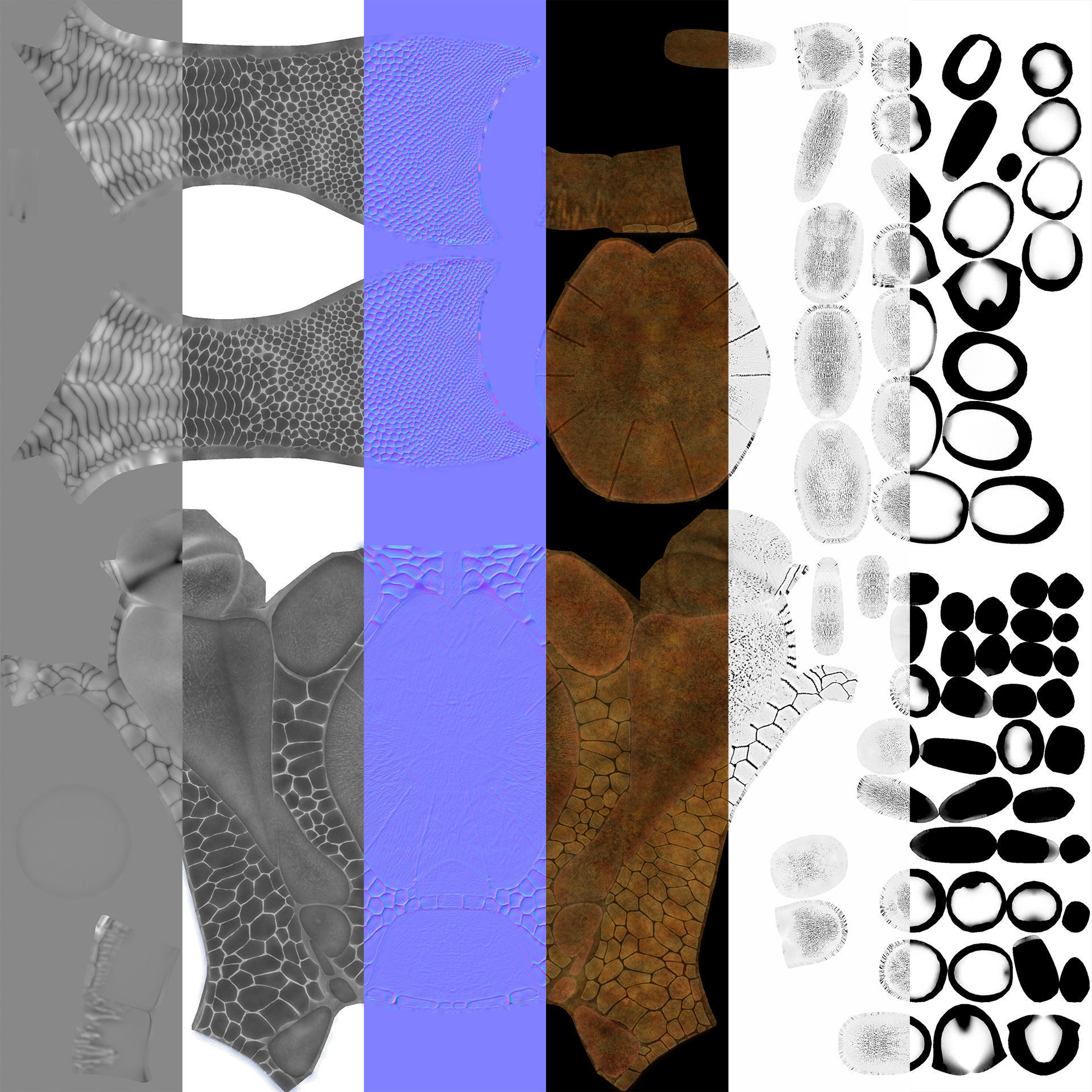 Extinct animals pack version 12 3D model_65