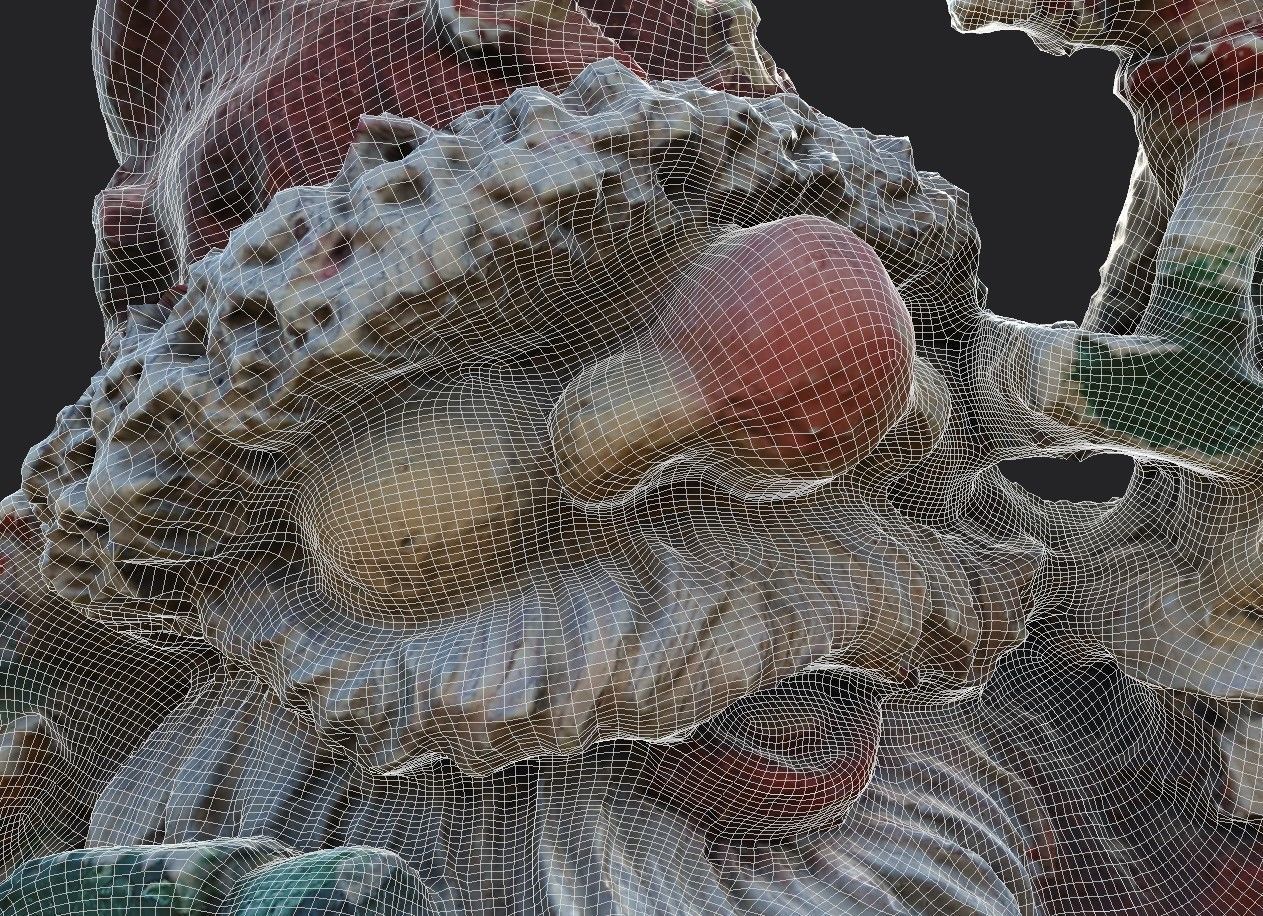 Garden Gnome Low-poly 3D model_17