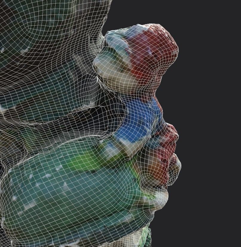 Garden Gnome Low-poly 3D model_20