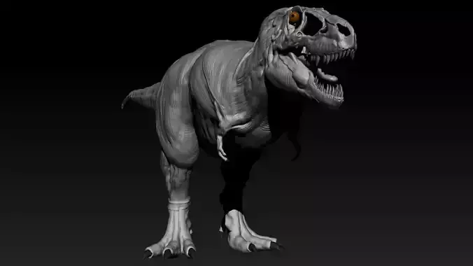 Tarbosaurus Muscle Base Model 3D model