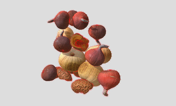 two pumpkins and a slice Low-poly 3D model 4