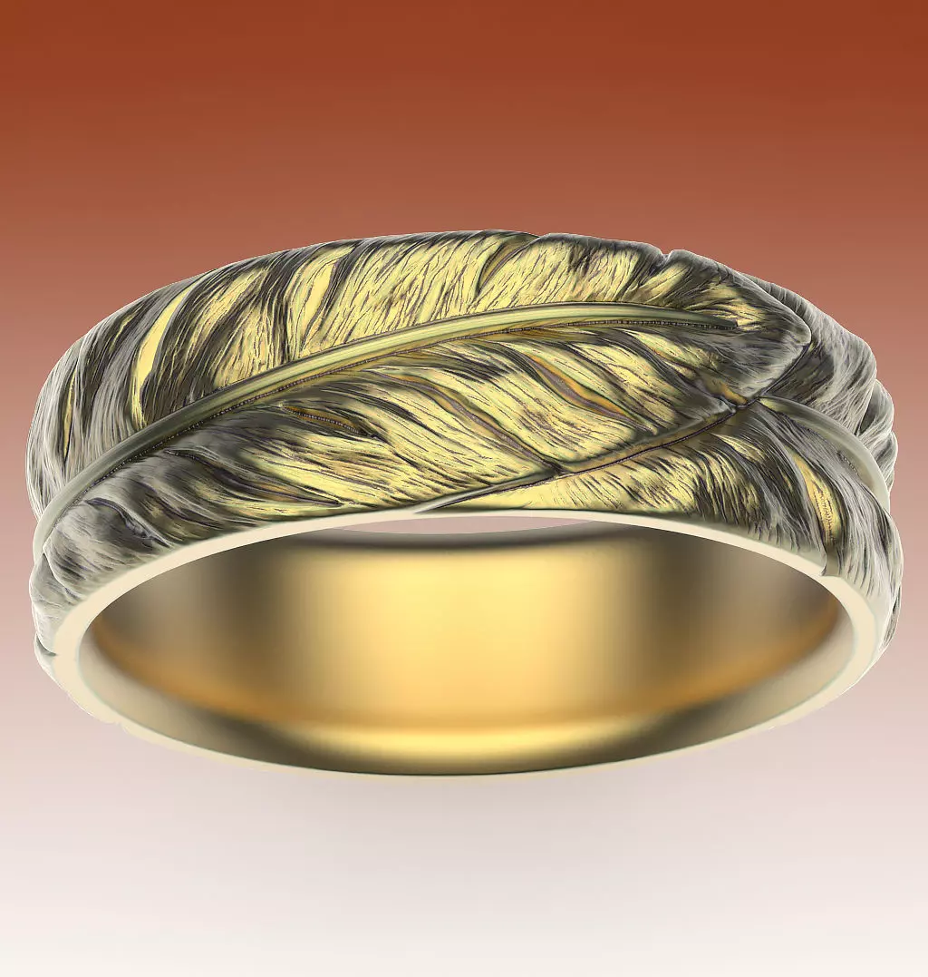 Ring Feathers 3D print model_0