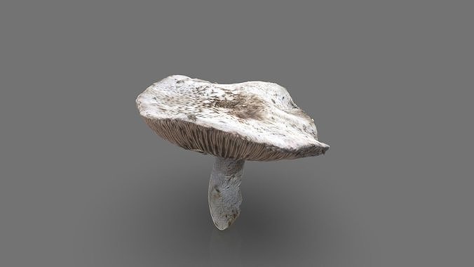 MUSHROOM 7 Low-poly 3D model 2
