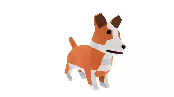 Corgi orange and dog