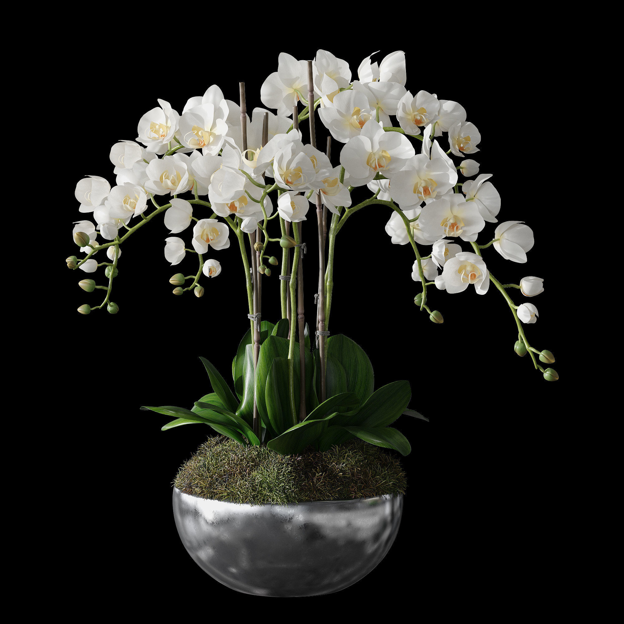 Orchid set 1 orchids in vase 3D model_10