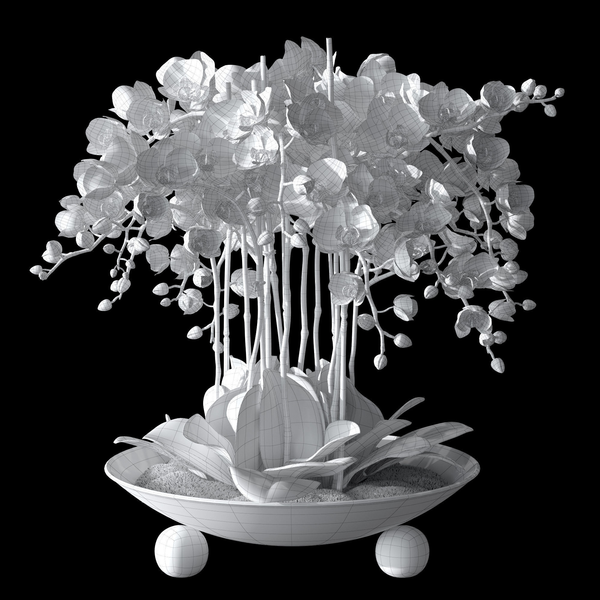 Orchid set 1 orchids in vase 3D model_9