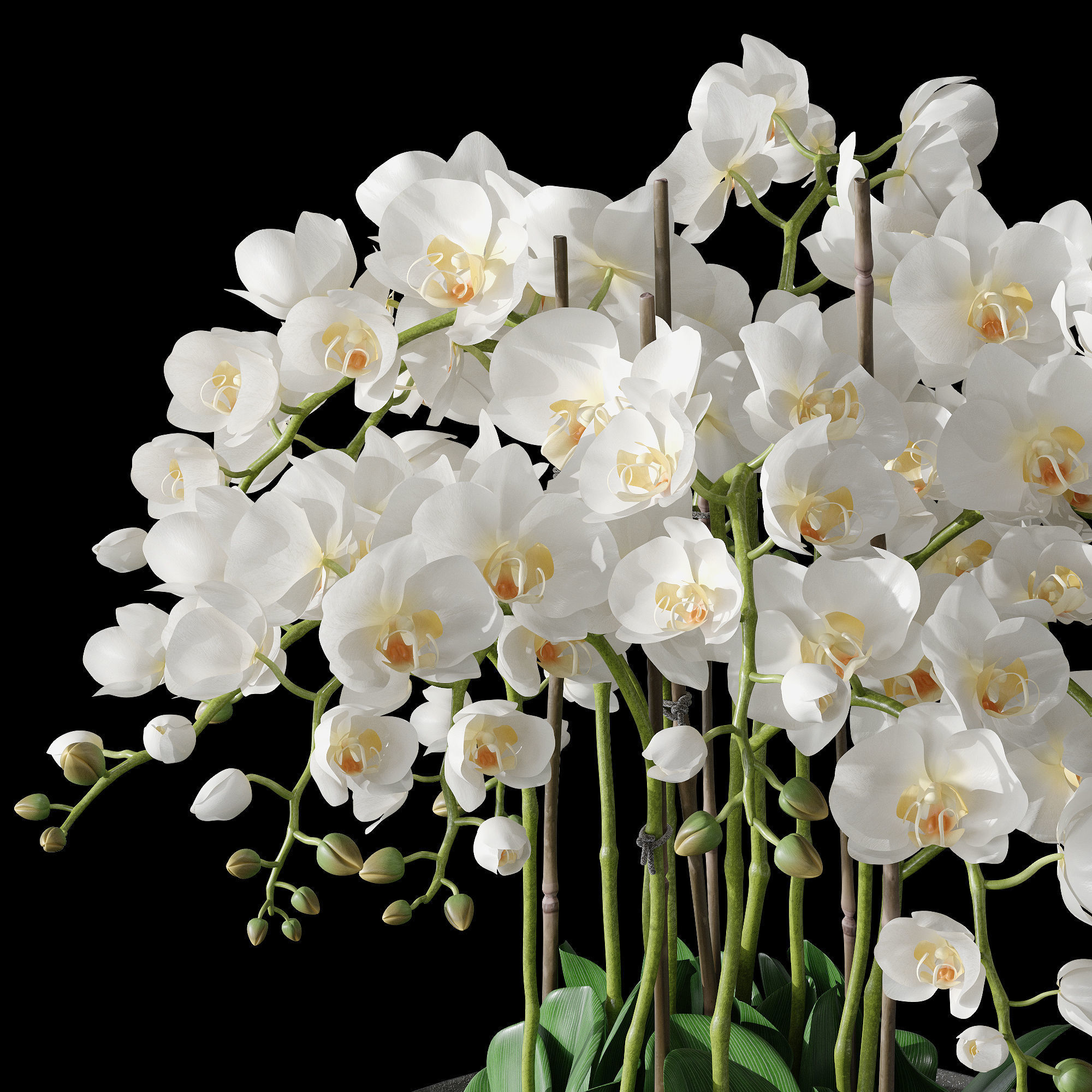 Orchid set 1 orchids in vase 3D model_5