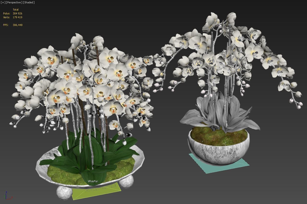Orchid set 1 orchids in vase 3D model_4
