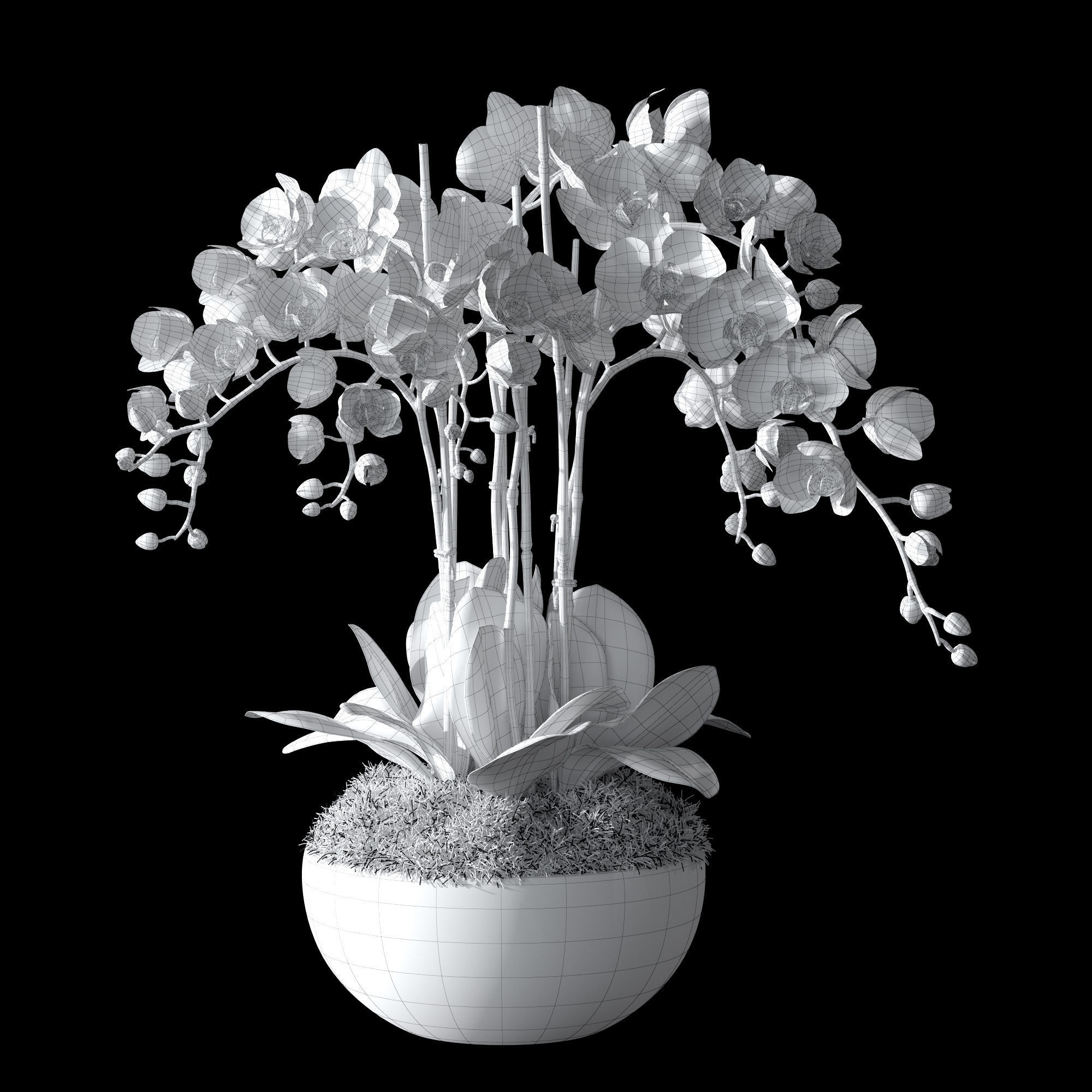 Orchid set 1 orchids in vase 3D model_3