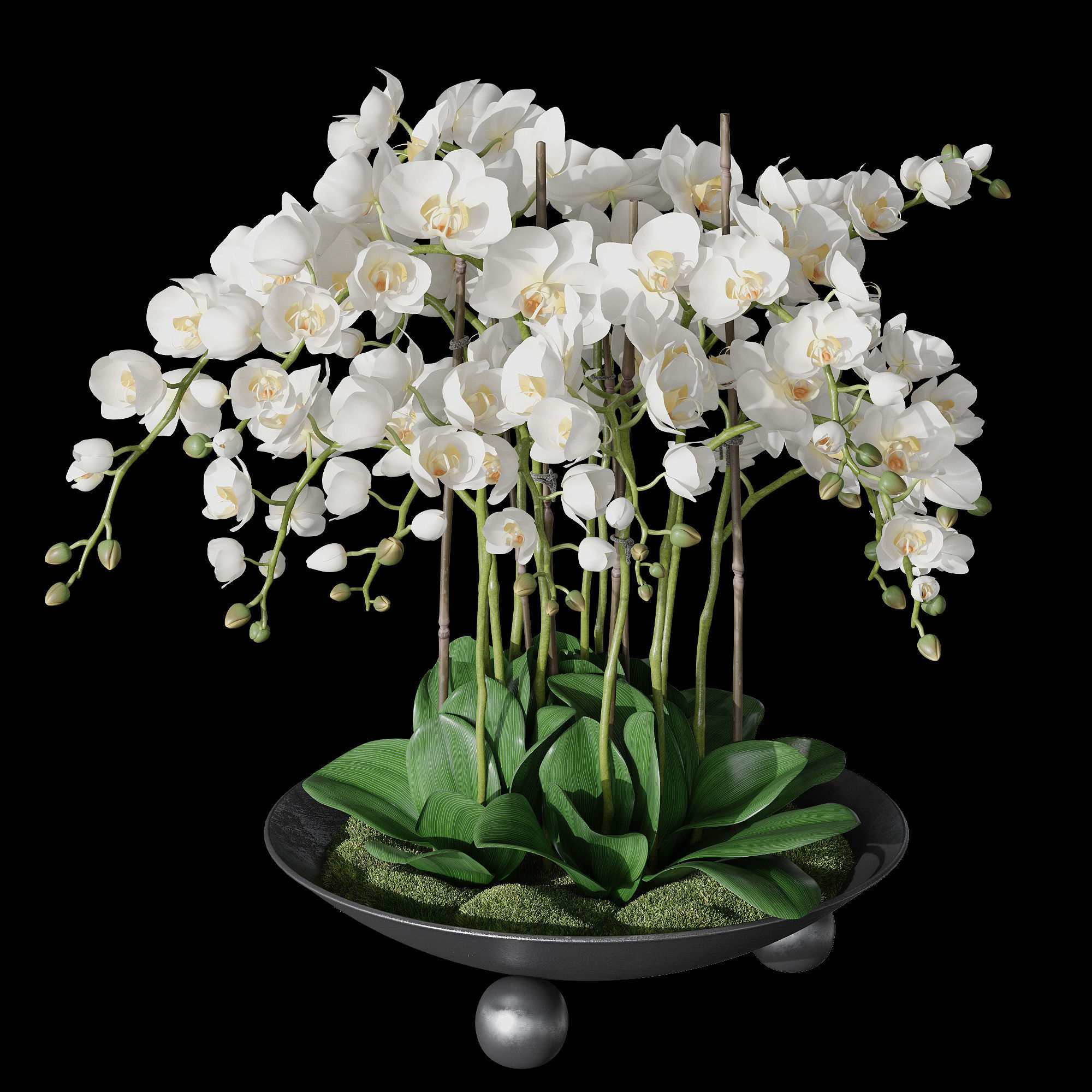 Orchid set 1 orchids in vase 3D model_7