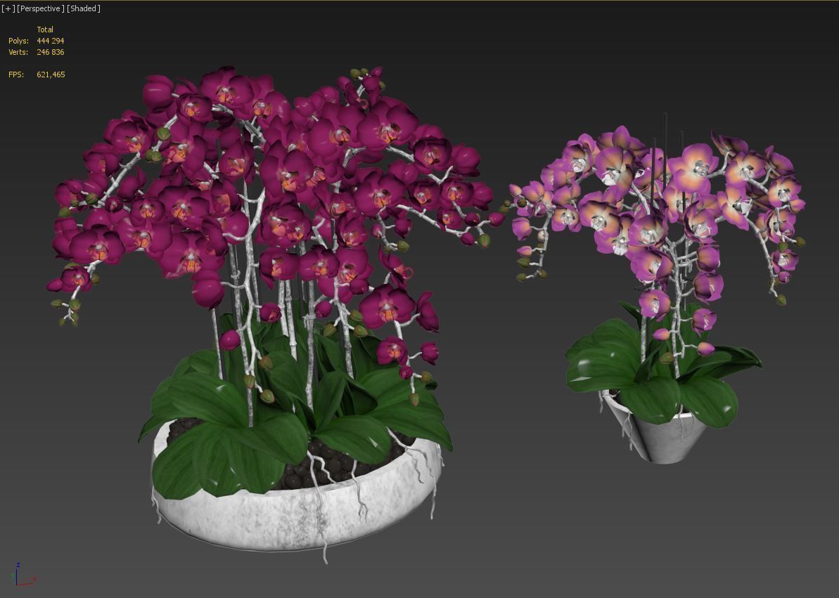 Orchid set 2 orchids 3D model_6