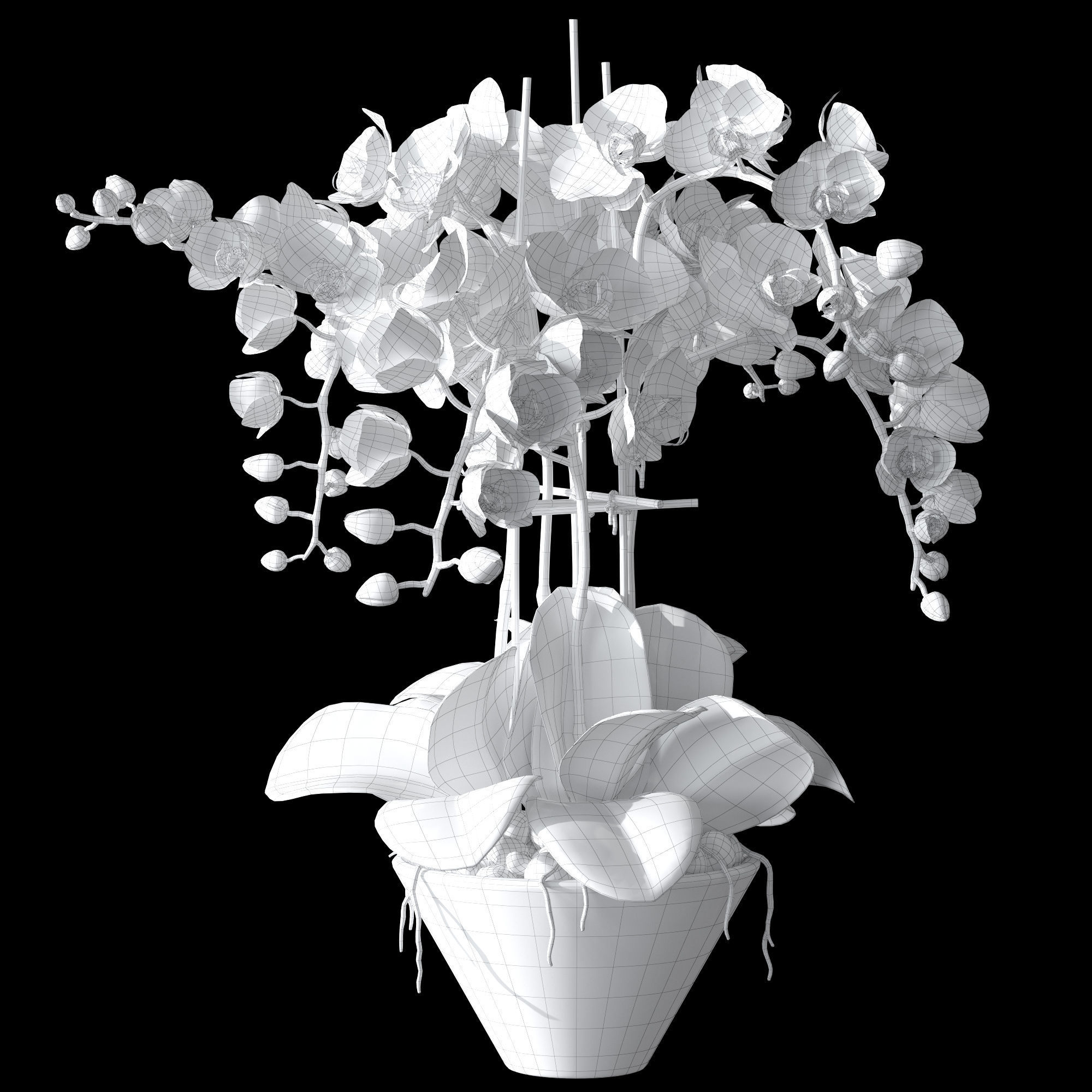 Orchid set 2 orchids 3D model_5