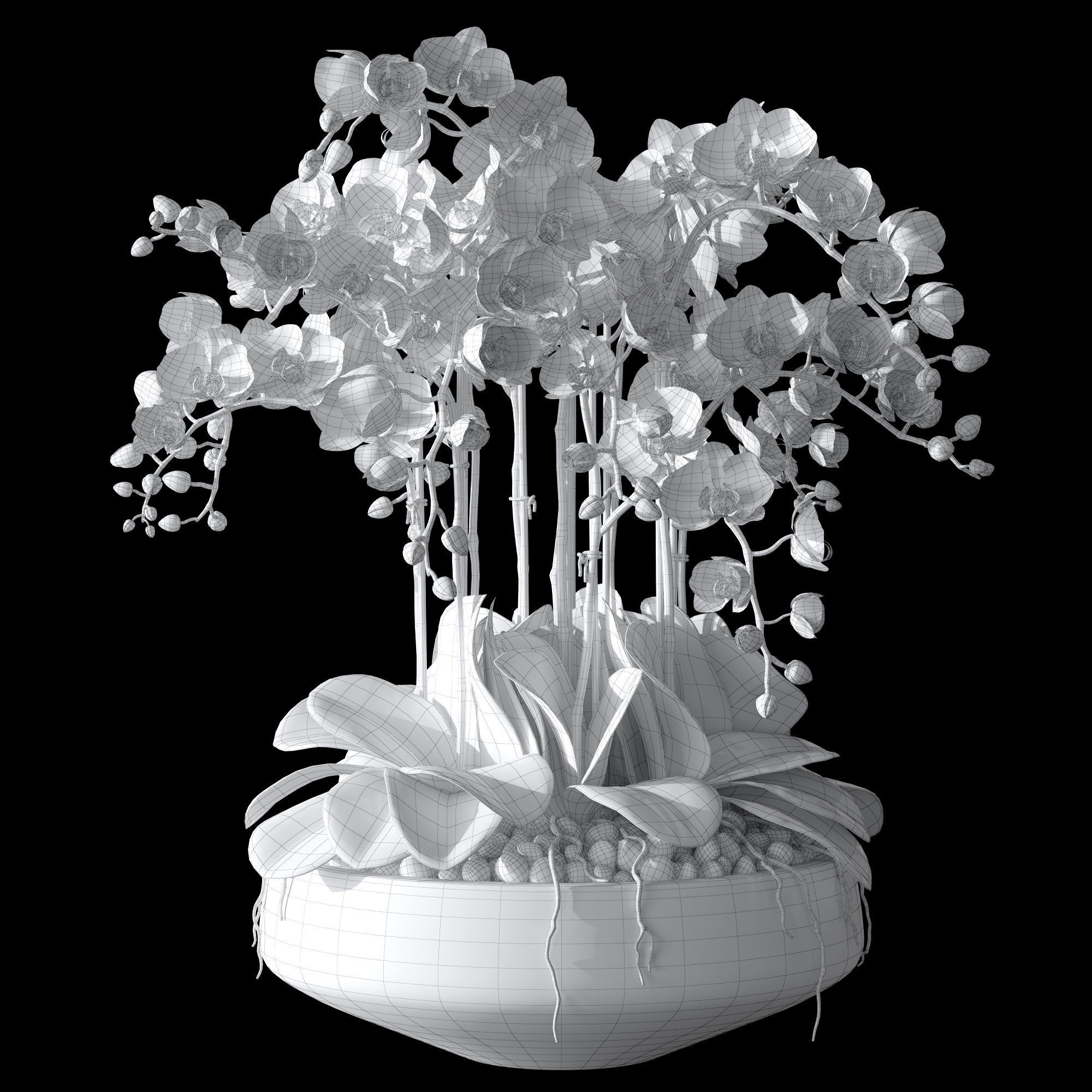 Orchid set 2 orchids 3D model_12