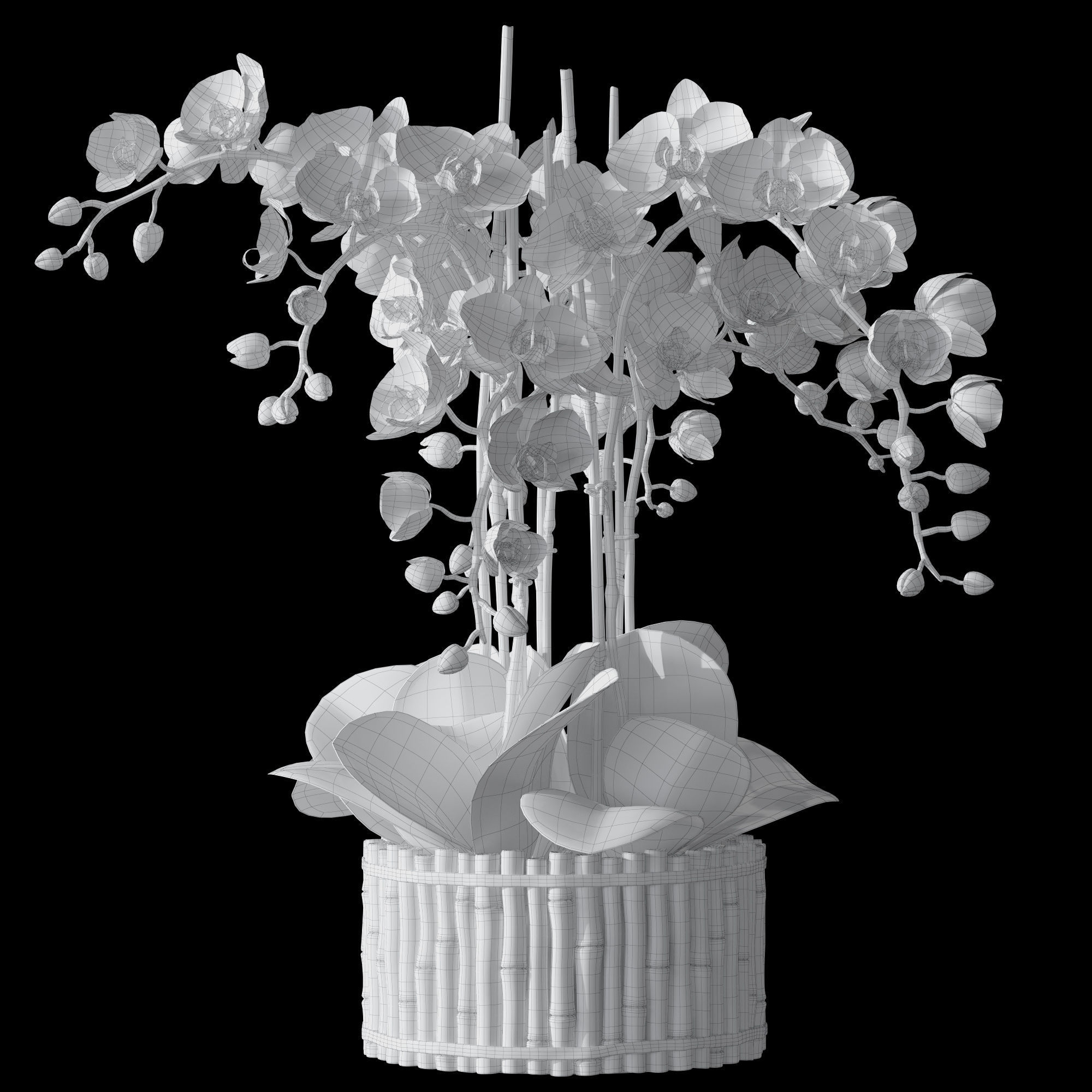 Orchid set 3 orchids 3D model_5