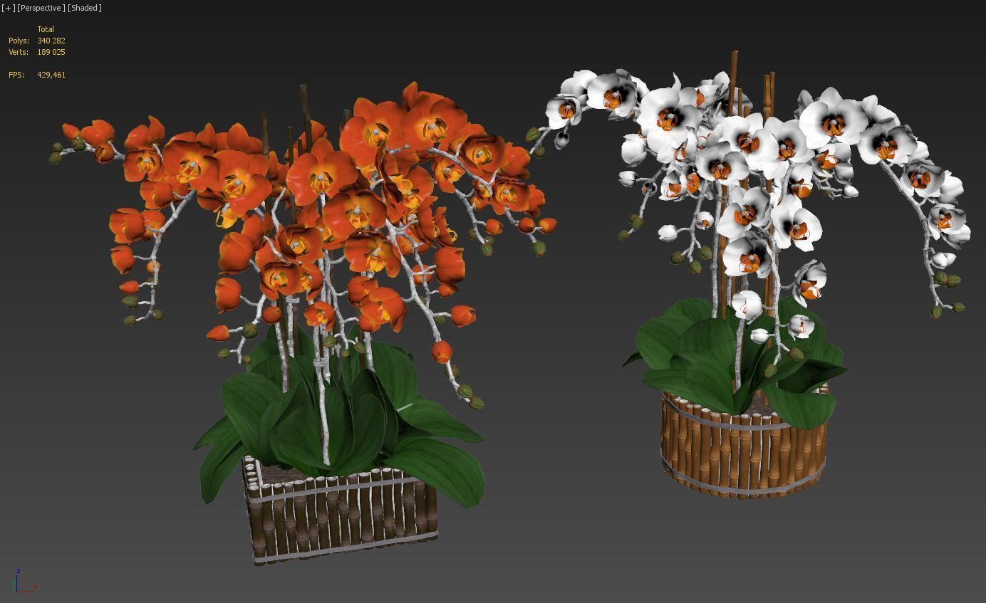 Orchid set 3 orchids 3D model_6