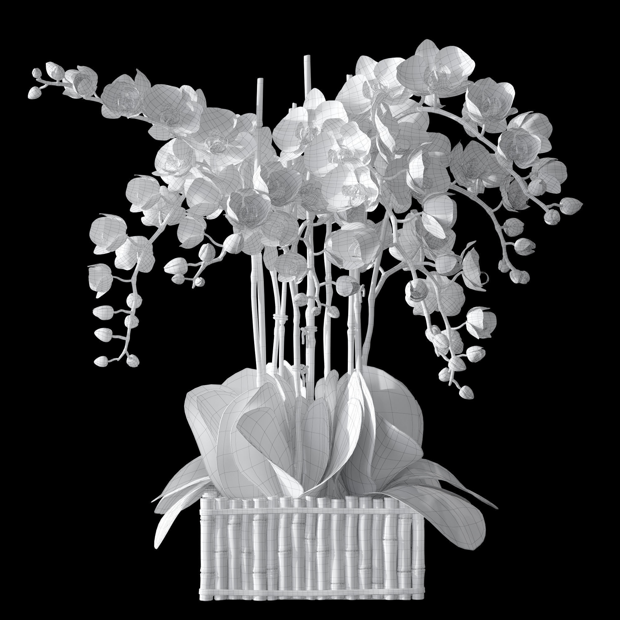 Orchid set 3 orchids 3D model_12