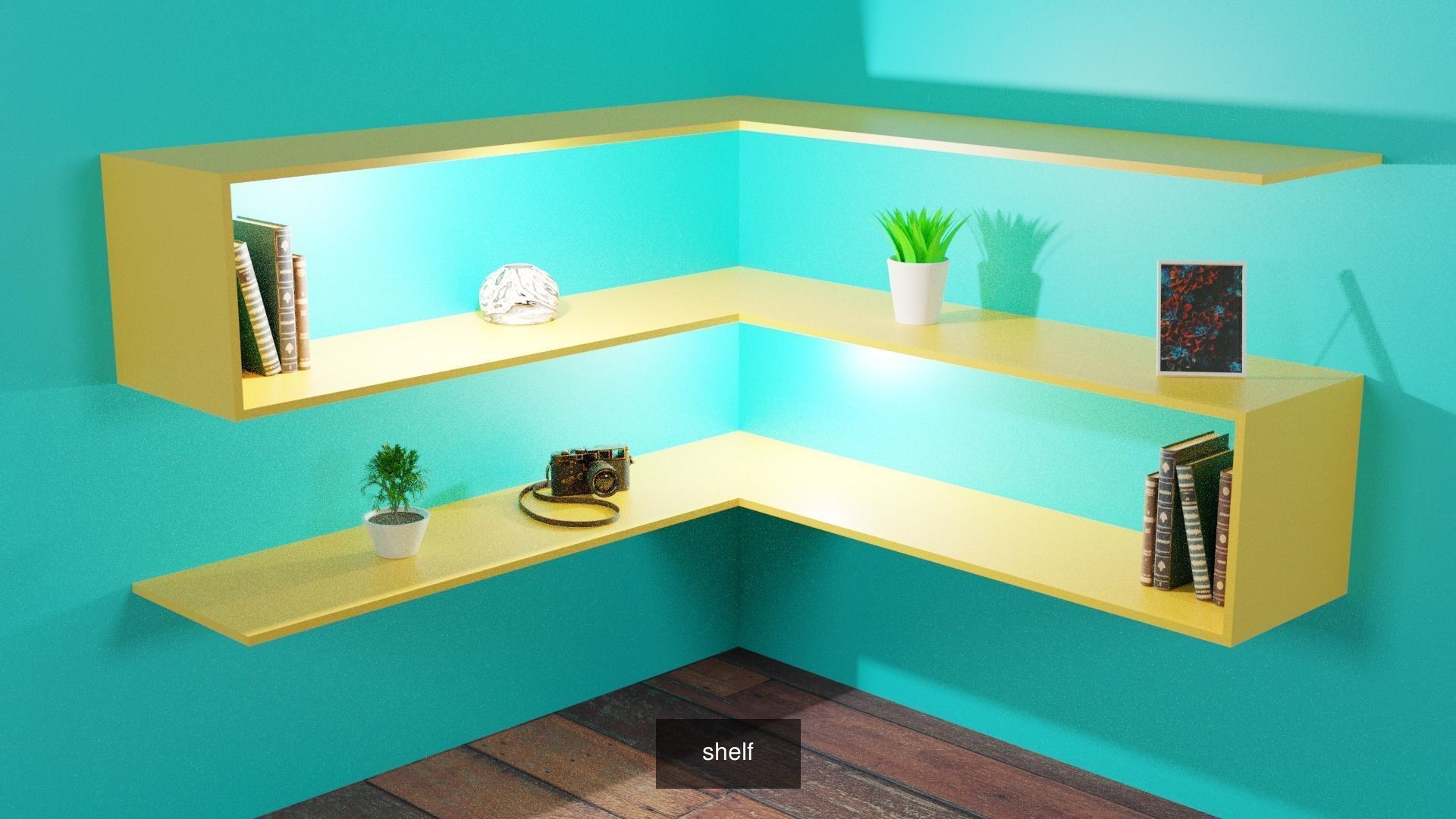 Shelves collection wooden bookcase with _4