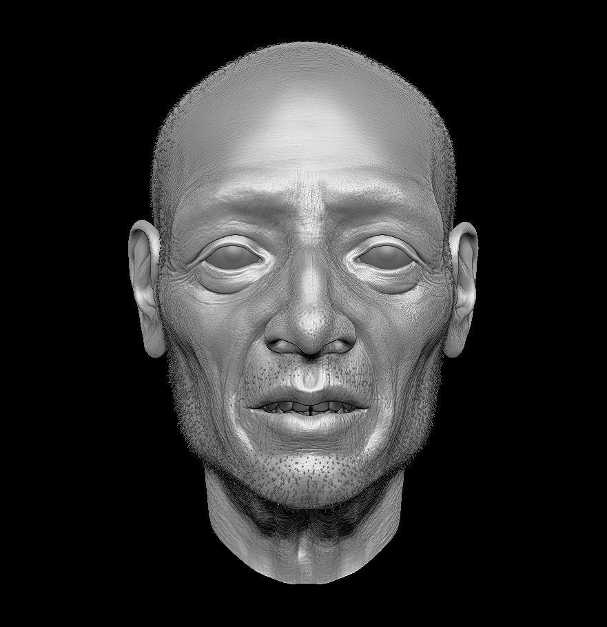 Old man head sculpt 3D model_1