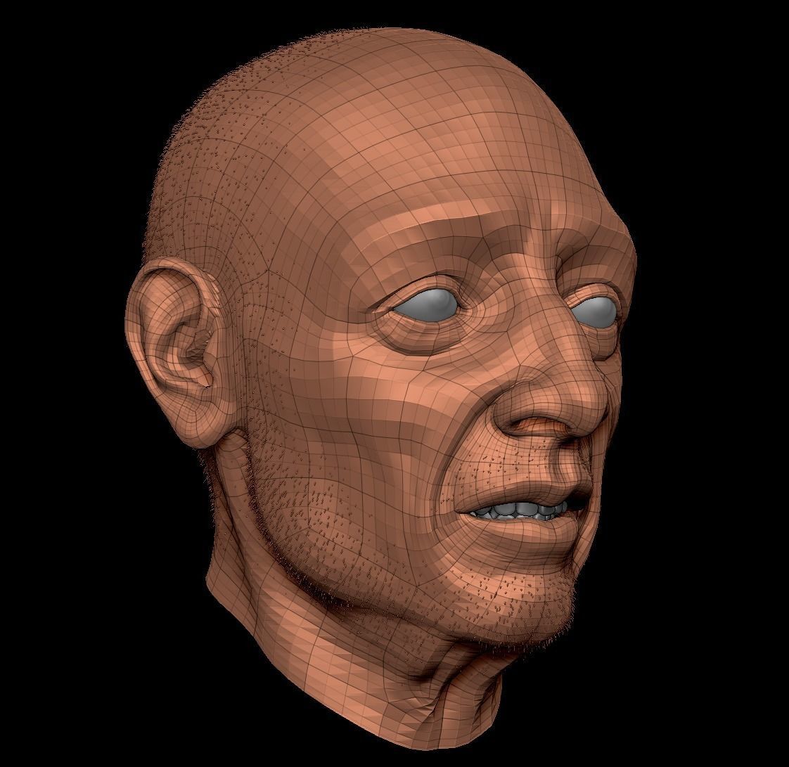 Old man head sculpt 3D model_5