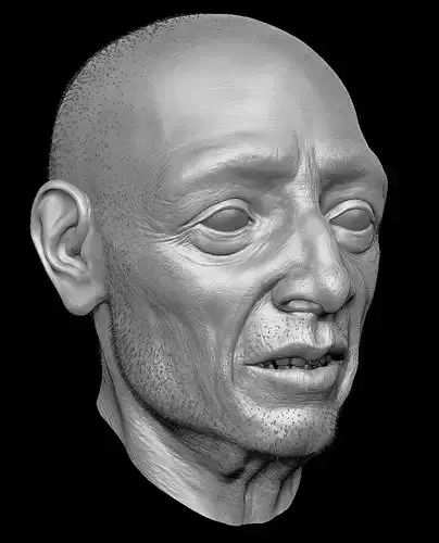 Old man head sculpt