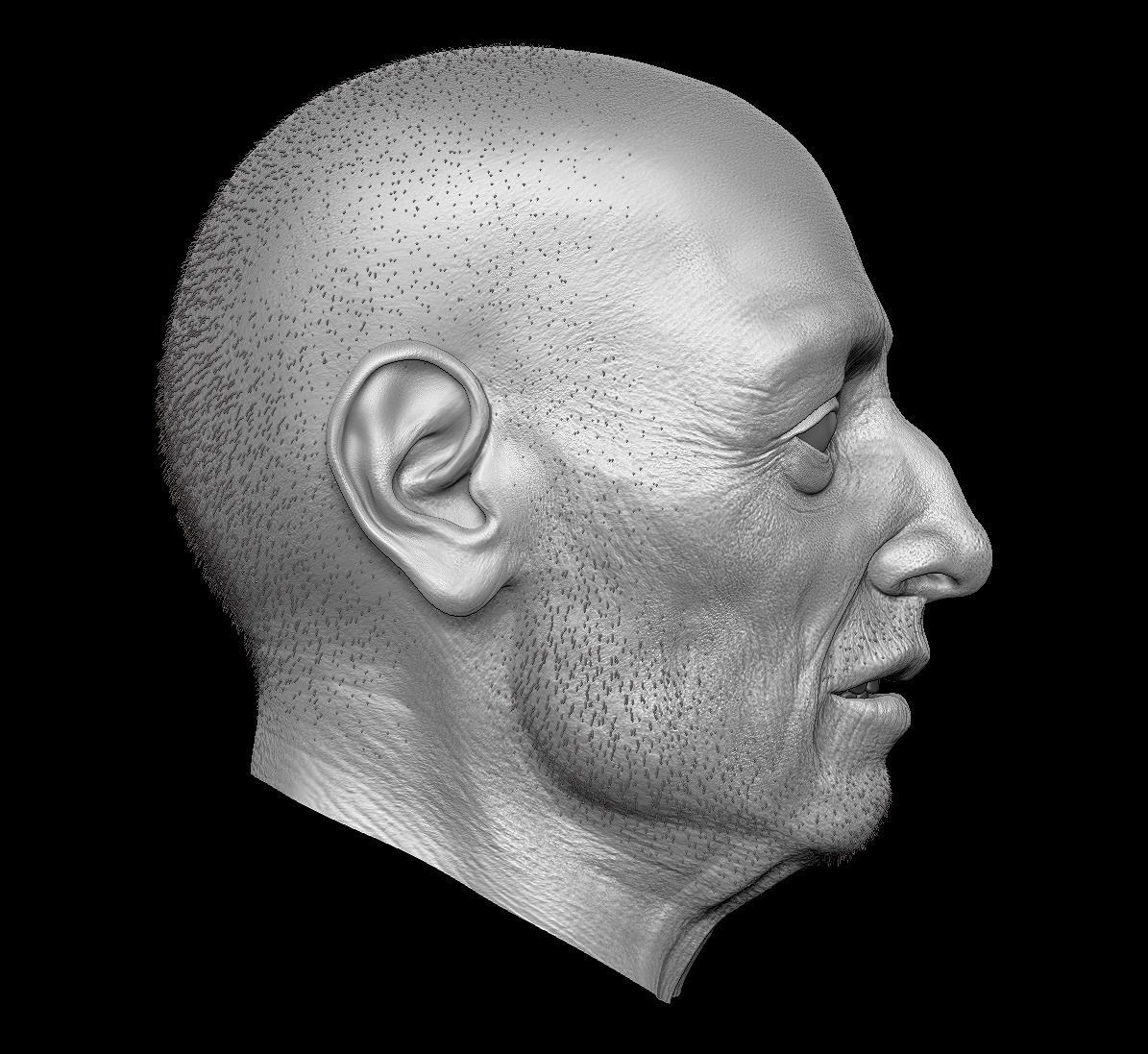 Old man head sculpt 3D model_2