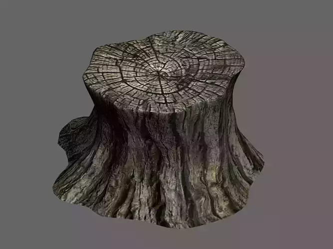 Elf-Forest-Tree City-Stump 12