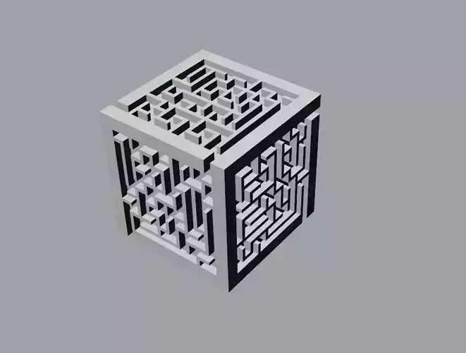 maze box