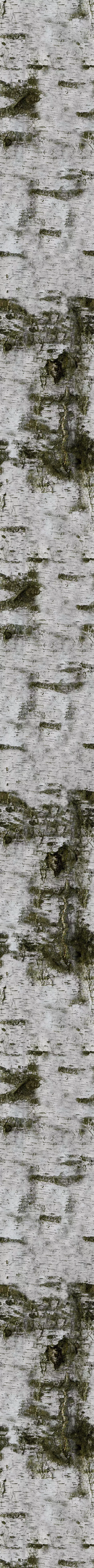 PINOS water surface with ripples 3D model_0