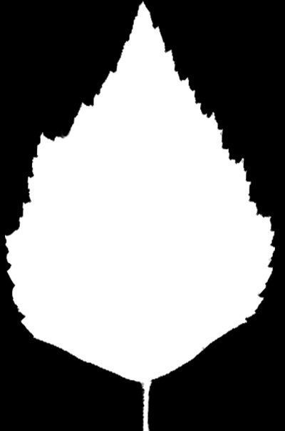 PINOS water surface with ripples 3D model_9