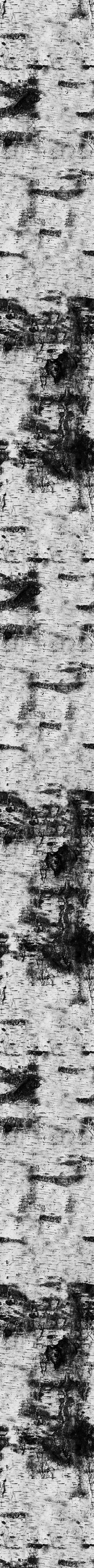 PINOS water surface with ripples 3D model_1