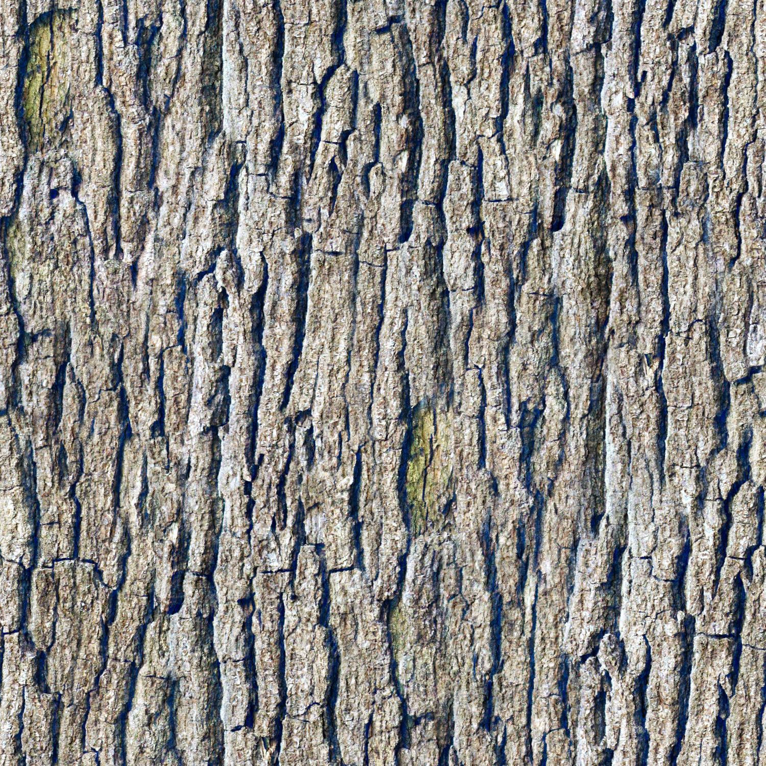 PINOS water surface with ripples 3D model_10